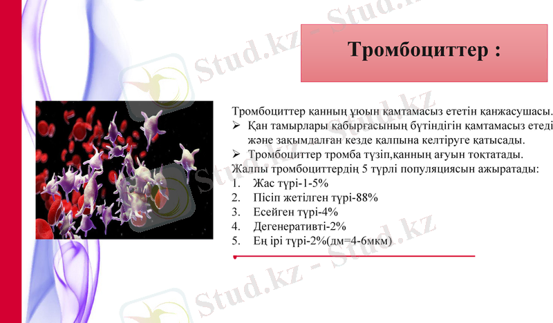 Slide 9